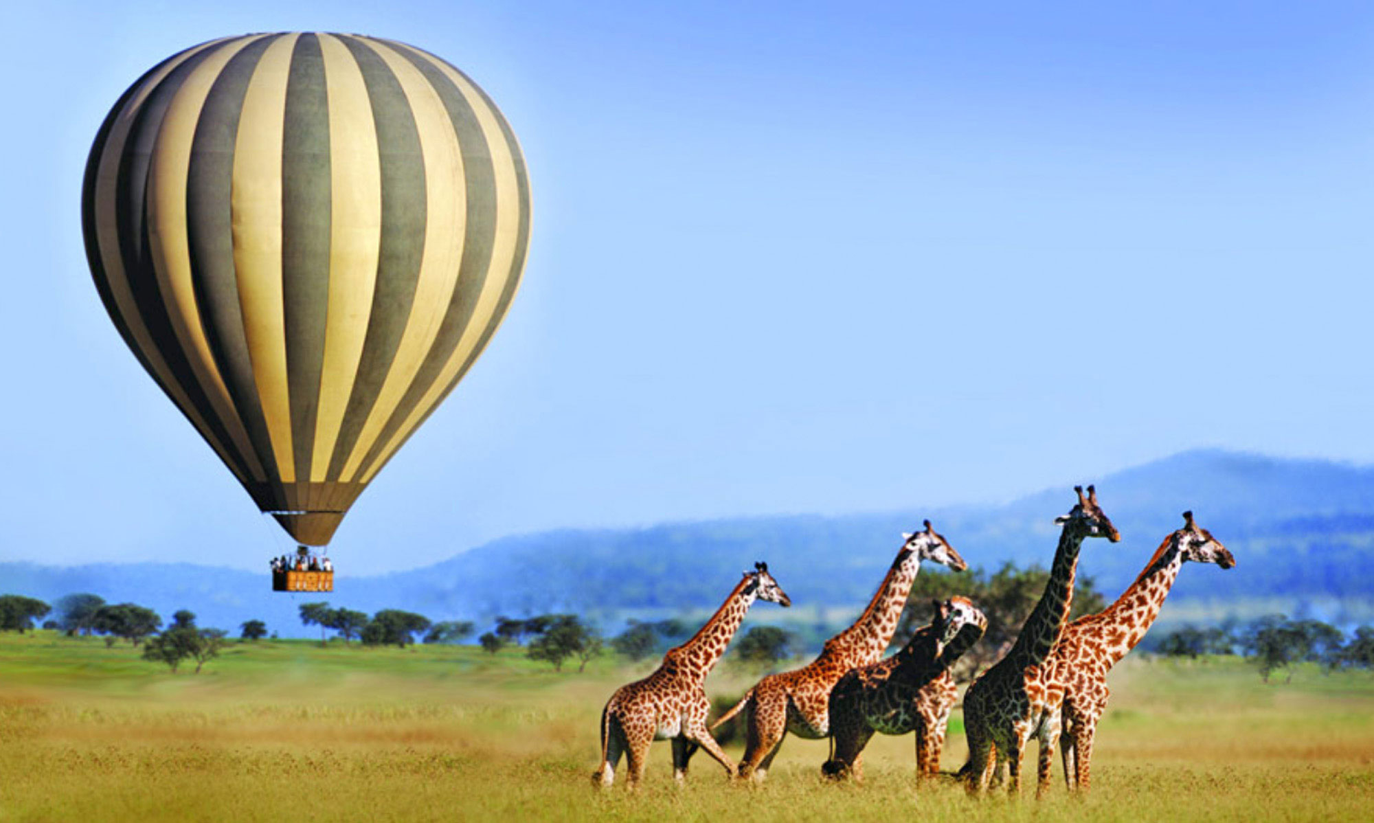 luxury travel packages for auction African safari