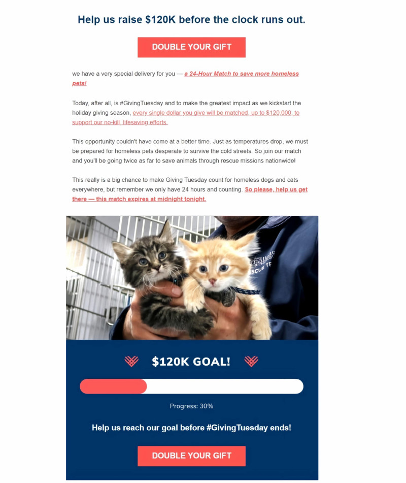 giving tuesday email examples